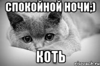 Спокойной ночи;) коть