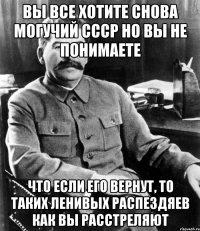 вы все хотите снова могучий ссср но вы не понимаете что если его вернут, то таких ленивых распездяев как вы расстреляют