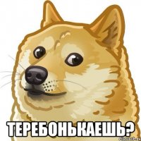  Теребонькаешь?