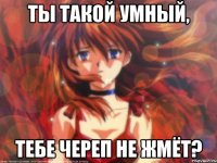 Ты такой умный, Тебе череп не жмёт?