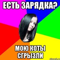 есть зарядка? мою коты сгрызли