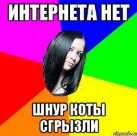 интернета нет шнур коты сгрызли