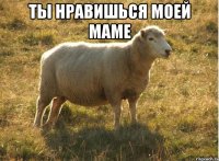 ты нравишься моей маме 