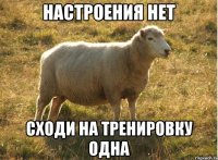 настроения нет сходи на тренировку одна