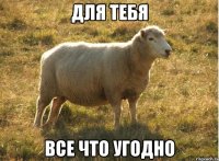 для тебя все что угодно