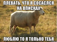 плевать, что я сосаслся на вписках люблю то я только тебя