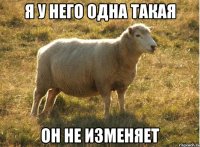 Я у него одна такая Он не изменяет