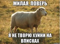 Милая, поверь я не творю хуйни на вписках