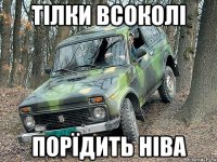 тілки всоколі порїдить ніва