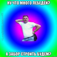 Ну что много лебедей? А забор строить будем?