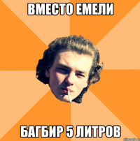 ВМЕСТО ЕМЕЛИ Багбир 5 литров