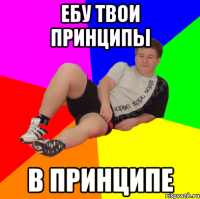 ебу твои принципы в принципе