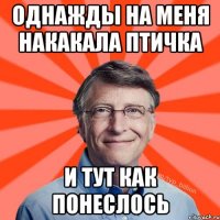 Однажды на меня накакала птичка и тут как понеслось