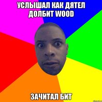 Услышал как дятел долбит wood зачитал бит