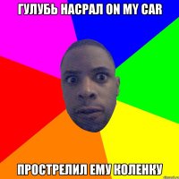 гулубь насрал on my car прострелил ему коленку