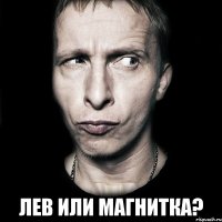  Лев или Магнитка?