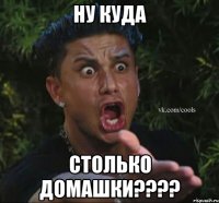 НУ КУДА СТОЛЬКО ДОМАШКИ????