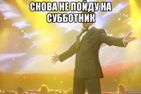 Снова не пойду на субботник 
