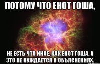 потому что енот гоша, не есть что иное, как енот гоша, и это не нуждается в объяснениях.