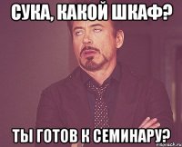 Сука, какой шкаф? Ты готов к семинару?