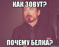 Как зовут? Почему белка?