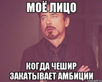 моё лицо когда Чешир закатывает амбиции