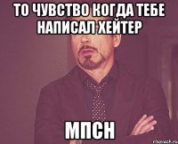 ТО ЧУВСТВО КОГДА ТЕБЕ НАПИСАЛ ХЕЙТЕР мпсн
