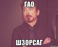 гао шзорсаг