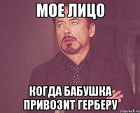 Мое лицо Когда бабушка привозит герберу
