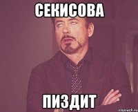 секисова пиздит