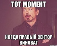 Тот момент Когда Правый Сектор виноват
