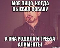 мое лицо, когда выебал собаку а она родила и требуа алименты