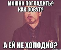 Можно погладить? Как зовут? А ей не холодно?