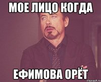 МОЕ ЛИЦО КОГДА ЕФИМОВА ОРЁТ