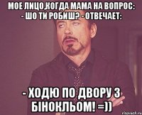 Мое лицо,когда мама на вопрос: - Шо ти робиш? - отвечает: - Ходю по двору з бiнокльом! =))