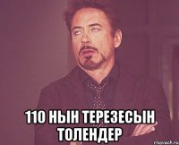  110 нын терезесын толендер