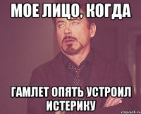 Мое лицо, когда Гамлет опять устроил истерику