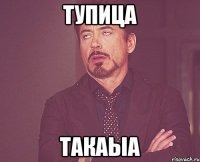 тупица такаыа