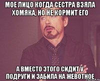 Мое лицо когда сестра взяла хомяка, но не кормит его А вместо этого сидит у подруги и забила на жевотное