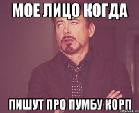 мое лицо когда пишут про пумбу корп