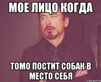 Мое лицо когда Томо постит собак в место себя