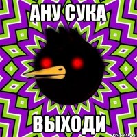 ану сука выходи