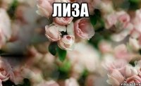 лиза 