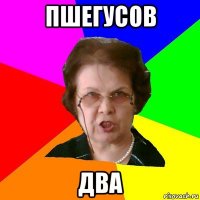 Пшегусов Два