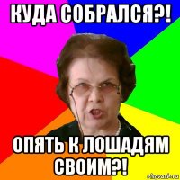 Куда собрался?! Опять к лошадям своим?!