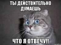 ты действительно думаешь что я отвечу!!