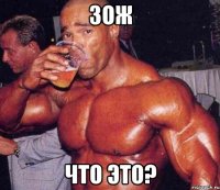 Зож что это?