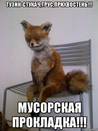 тузик-стукач,трус,прихвостень!!! мусорская прокладка!!!