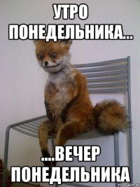 Утро понедельника... ....вечер понедельника