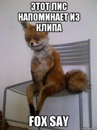 этот лис напоминает из клипа fox say